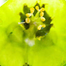 手机攻击器APP下载